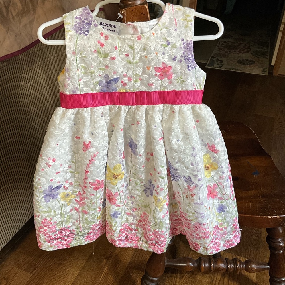 Blueberries Boulevard size 2T Dress